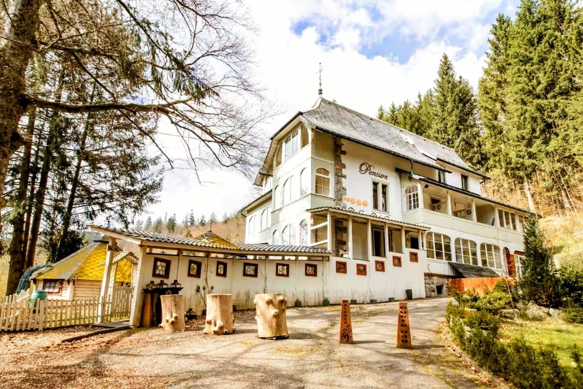 Die Villa Waldeck von der Auffahrt aus: weißes, mehrstöckiges Haus mit Veranden am Waldrand